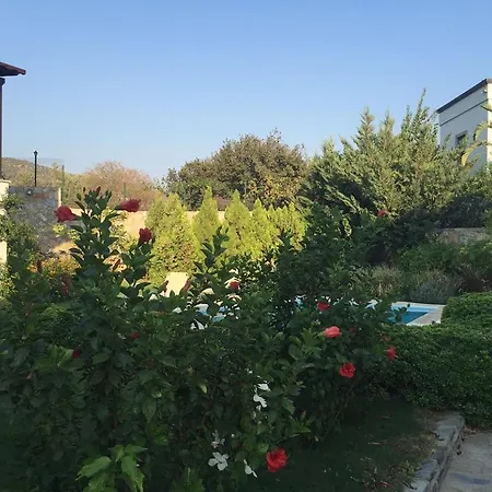 Garden Flat 아파트 Konacik